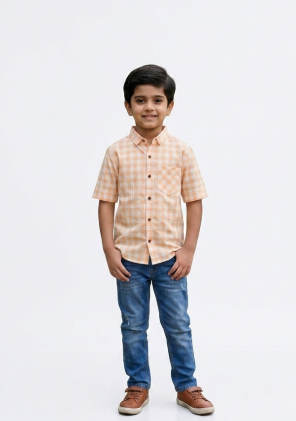 Smart Casual Half Sleeve Checkered shirt