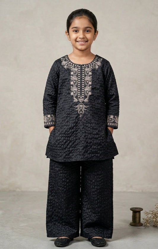 Elegant Black Embroidered 2 Piece Suit